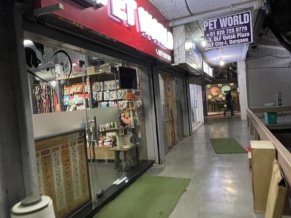 Pet World