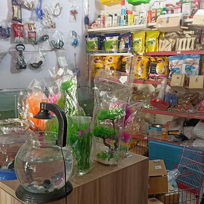 THE PET SHOP