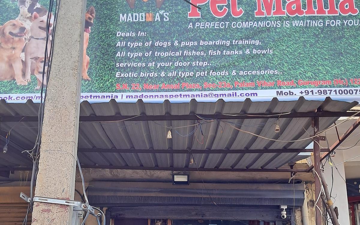 Madonnas Pet Mania