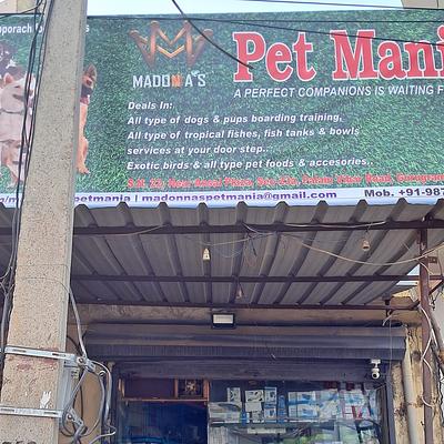 Madonnas Pet Mania