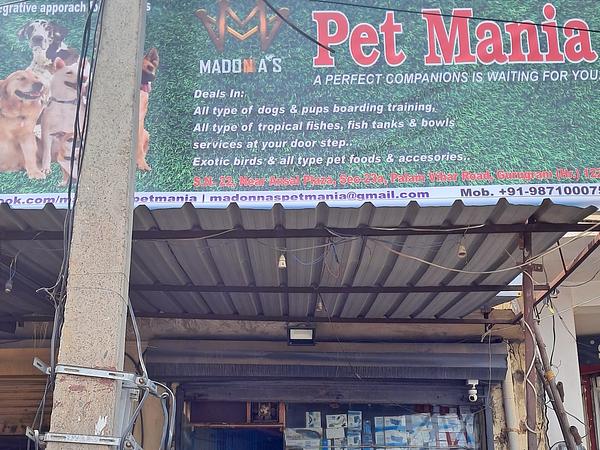 Madonnas Pet Mania