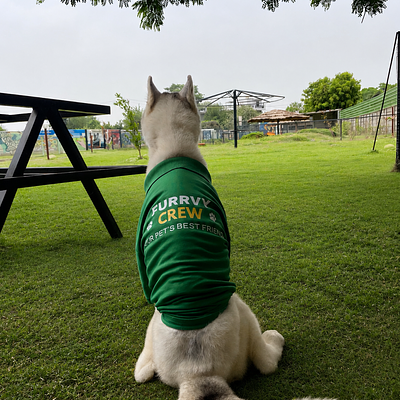 Furrvy - Pet Boarding, Daycare & Grooming | Sector 58, Gurugram