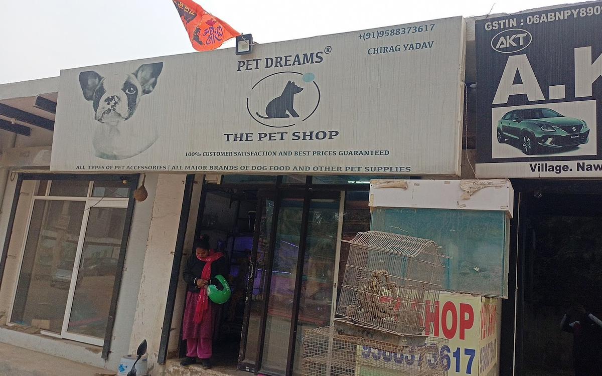 THE PET SHOP