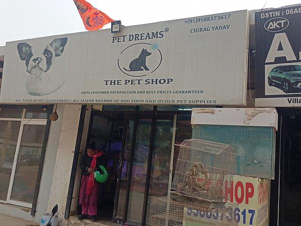 THE PET SHOP