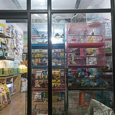 THE PET SHOP