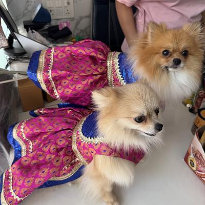 Furpetual - Pet Store Spa & Jacuzzi | Full Service Grooming