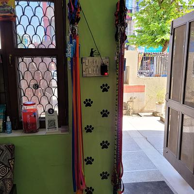 PET FEED