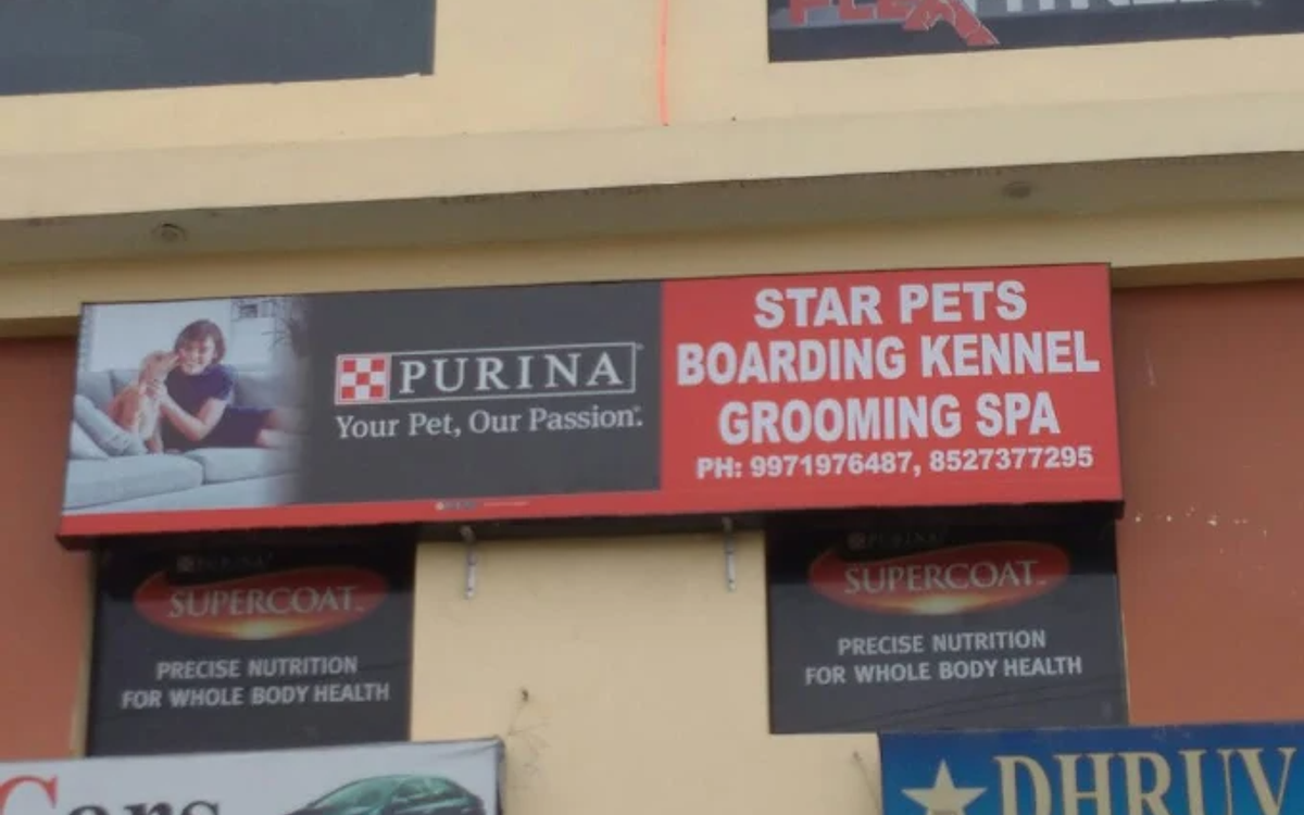 Star Pets | Grooming & Pet Shop