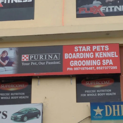 Star Pets | Grooming & Pet Shop