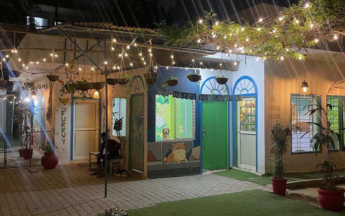 Furrvy - Pet Boarding, Daycare & Grooming | Sector 27, Gurugram