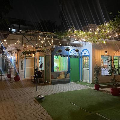 Furrvy - Pet Boarding, Daycare & Grooming | Sector 27, Gurugram