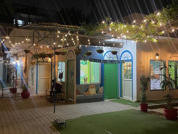 Furrvy - Pet Boarding, Daycare & Grooming | Sector 27, Gurugram