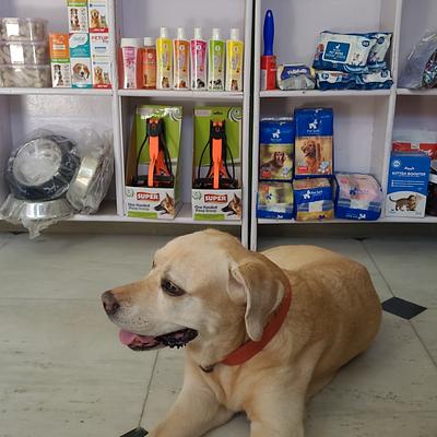 PET FEED