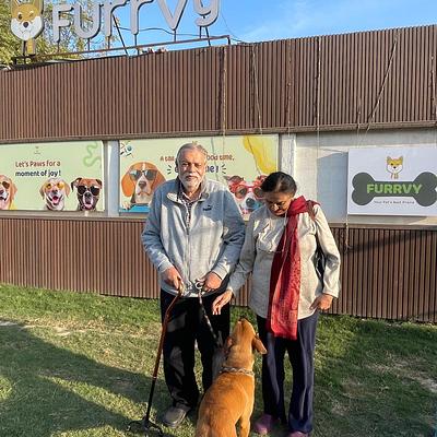 Furrvy - Pet Boarding, Daycare & Grooming | Sector 58, Gurugram
