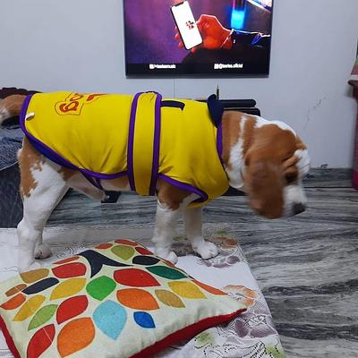 Gurgaon Dog Kennel And Petshop