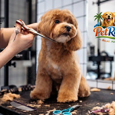 Petresort : Pet Grooming & Boarding
