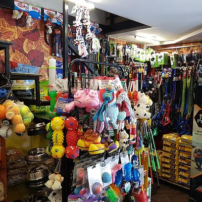 Oasis Pet Store