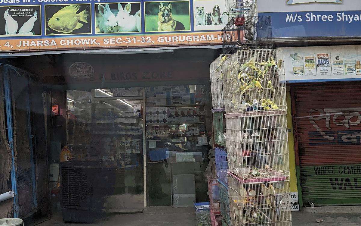 Fish pets & birds zone