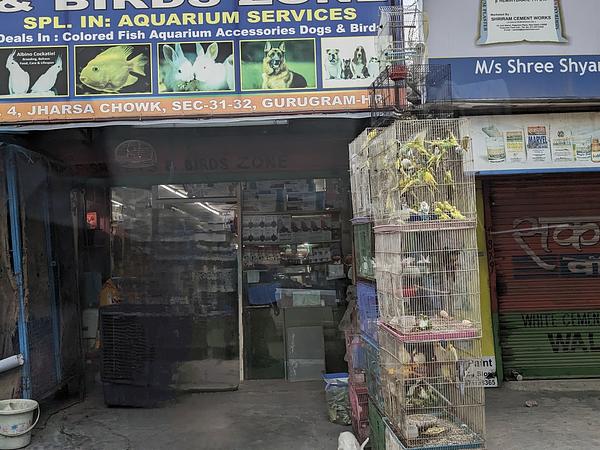 Fish pets & birds zone