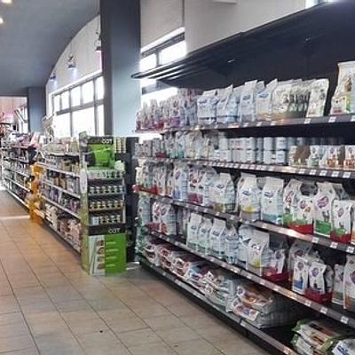 Dav Pet Lovers | Pet shop | Puppies for Sale in Gurgaon | Shih Tzu, Toy Poodle, Pom & More | Delhi | Faridabad | Noida