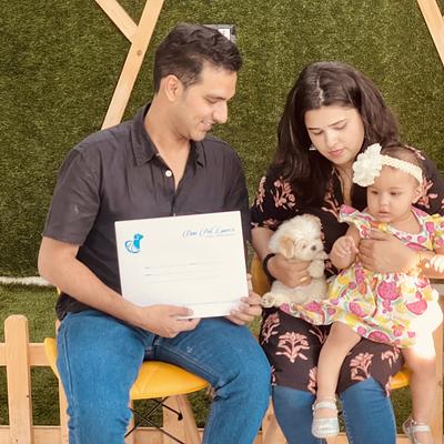 Dav Pet Lovers | Pet shop | Puppies for Sale in Gurgaon | Shih Tzu, Toy Poodle, Pom & More | Delhi | Faridabad | Noida