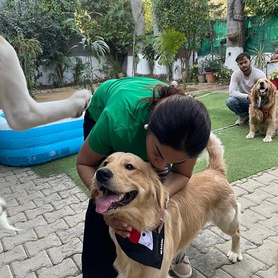 Furrvy - Pet Boarding, Daycare & Grooming | Sector 27, Gurugram