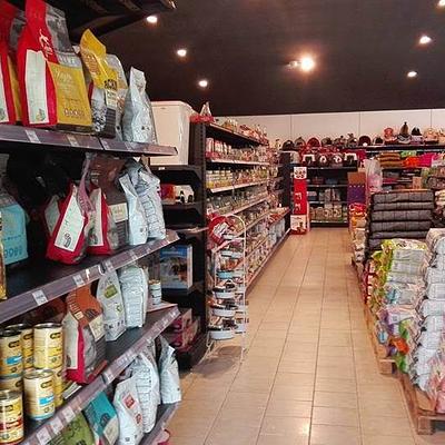 Dav Pet Lovers | Pet shop | Puppies for Sale in Gurgaon | Shih Tzu, Toy Poodle, Pom & More | Delhi | Faridabad | Noida