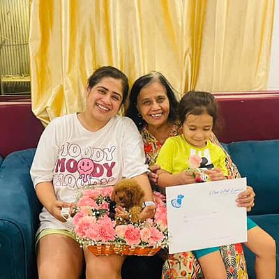 Dav Pet Lovers | Puppy for sale in Gurgaon | Toy Poodle, Shih Tzu, Pom, Retriever & More | Delhi NCR | Faridabad | Noida