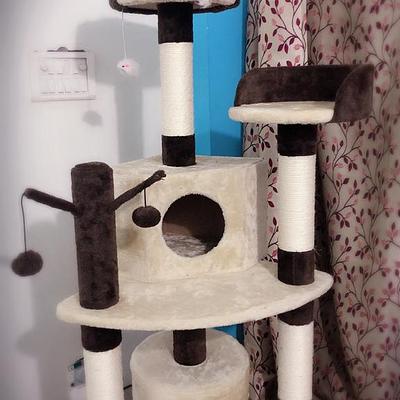 Pet Lovers Adda