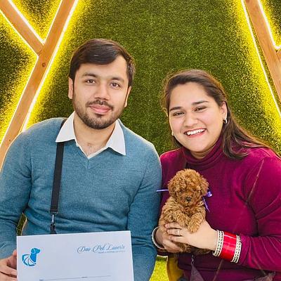 Dav Pet Lovers | Puppy for sale in Gurgaon | Toy Poodle, Shih Tzu, Pom, Retriever & More | Delhi NCR | Faridabad | Noida
