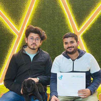 Dav Pet Lovers | Puppy for sale in Gurgaon | Toy Poodle, Shih Tzu, Pom, Retriever & More | Delhi NCR | Faridabad | Noida