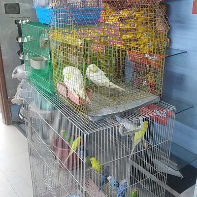 Tulsi Pet Shop
