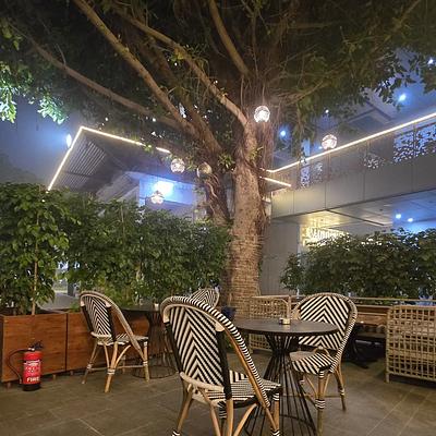 Cafe Soul Garden