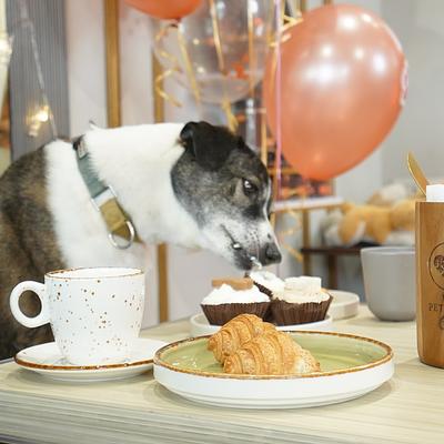 Paw Petisserie Cafe